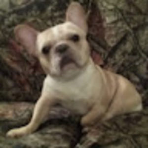 Meet your Posher, Summer lynn